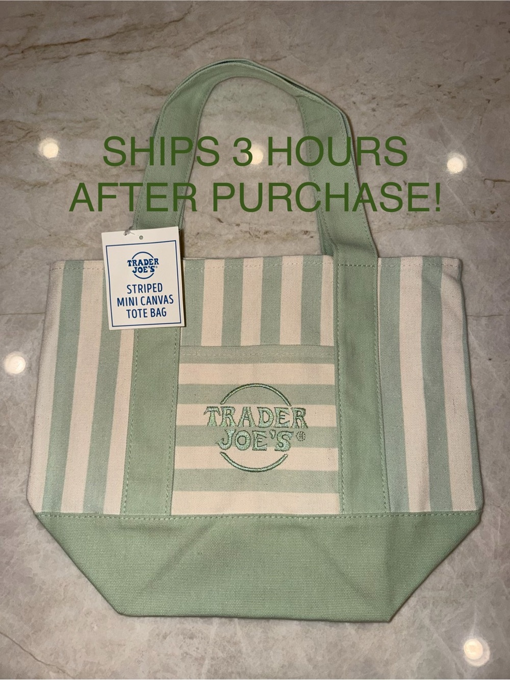 GREEN Trader Joe's Striped Mini Canvas Tote Bag in Mint and Cream